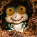 Frog in the Tree Stump! by rickster549