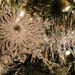 Christmas Crystals by sschertenleib