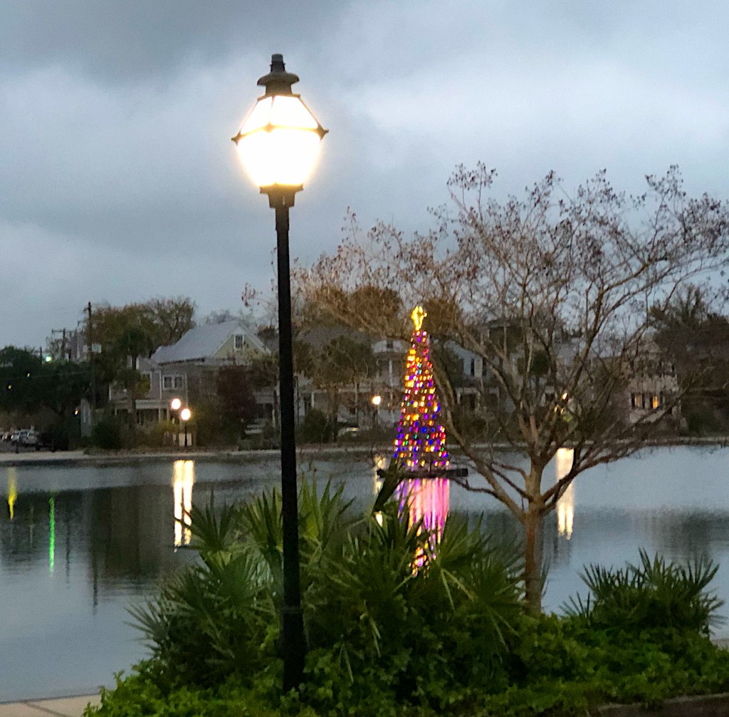 Colonial Lake and lighted Christmas tree by congaree