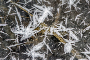 18th Dec 2020 - Abstract on Ice
