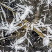 Abstract on Ice by farmreporter