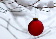19th Dec 2020 - Ornament and snow