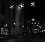 18th Dec 2020 - Christmas Lights in Black&White.