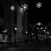 Christmas Lights in Black&White. by kclaire