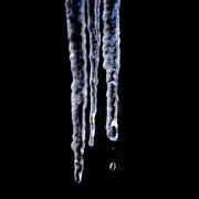 19th Dec 2020 - Icy drips