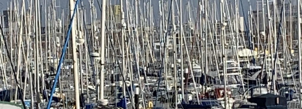 The Masts off Haslar Marina by bill_gk
