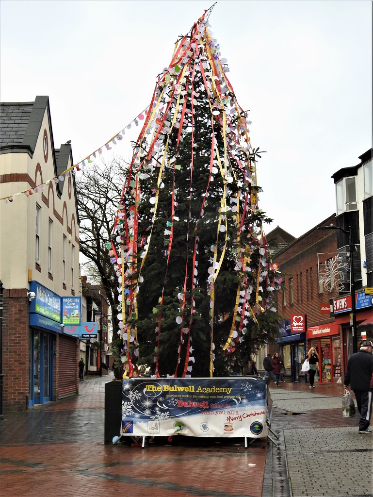 Christmas Tree Bulwell by oldjosh