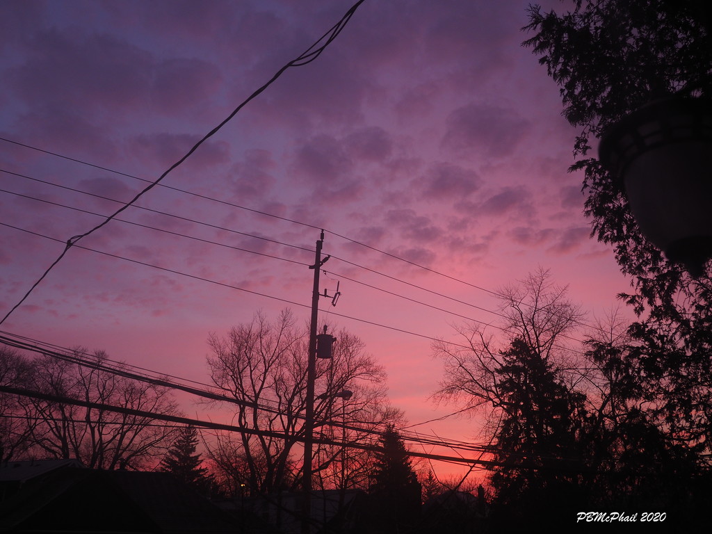Red Sky Morning by selkie