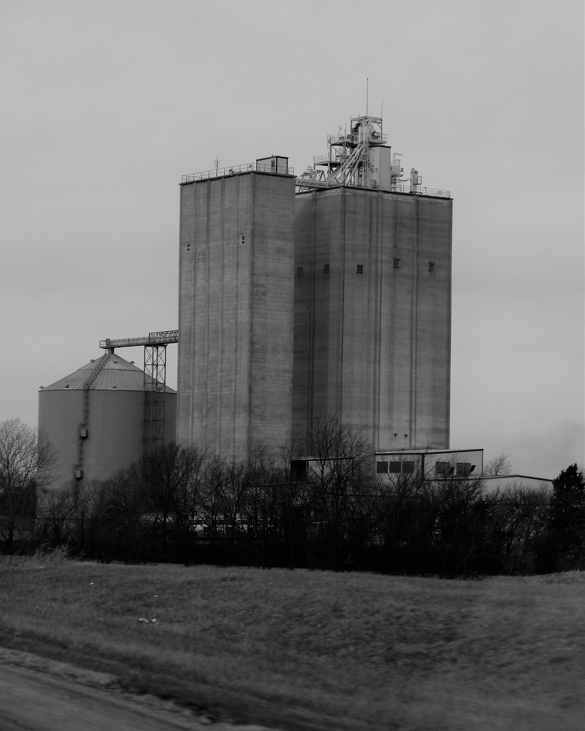 December 19: Grain Elevator in BW by daisymiller