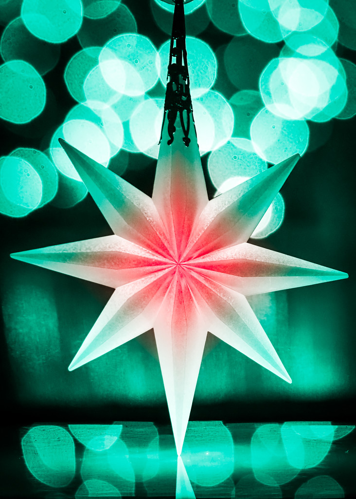 Holiday Star by rosiekerr