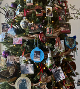 18th Dec 2020 - A tree of cats