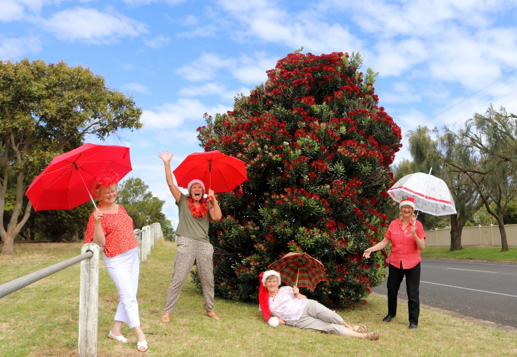 Merry Christmas from the brolly girls by gilbertwood