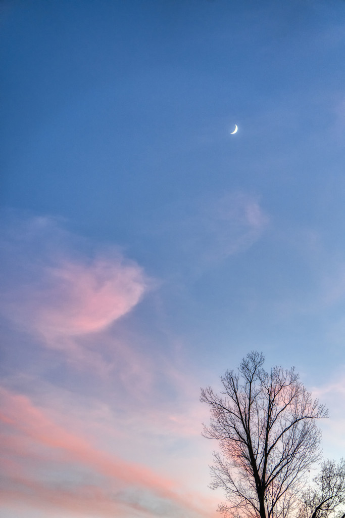 Crescent Moon Sunset by kvphoto