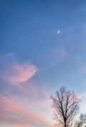 19th Dec 2020 - Crescent Moon Sunset
