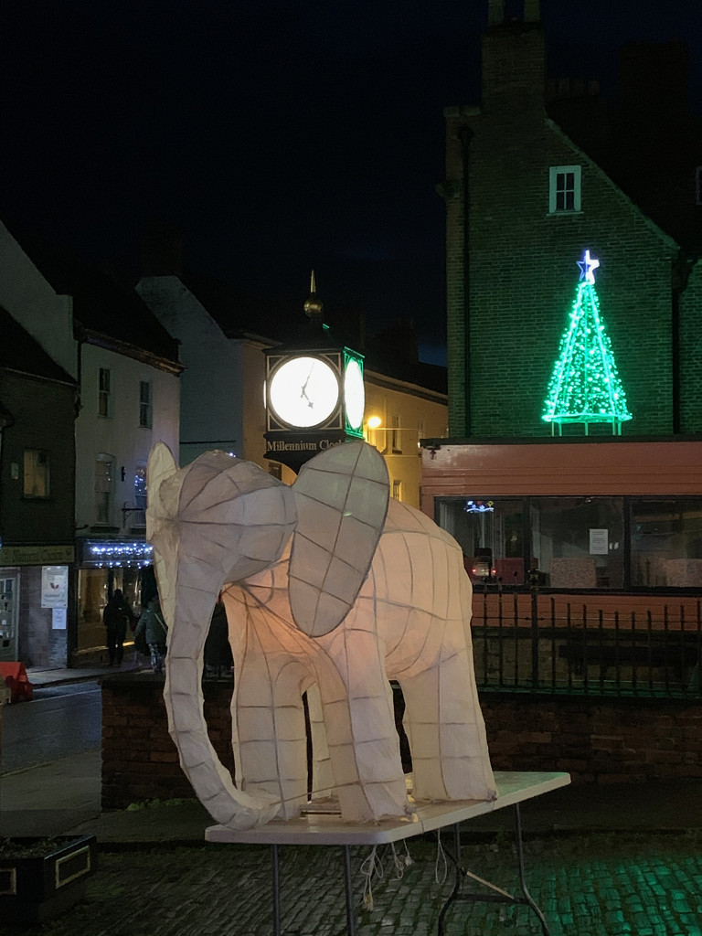 Christmas Lantern Trail by 365projectmaxine