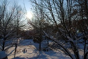 12th Jan 2011 - The Snow Outside My Bedroom Window