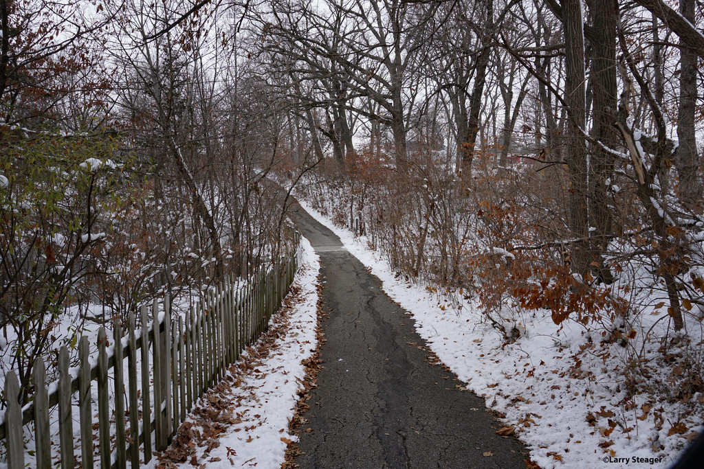 Snowy day walk by larrysphotos
