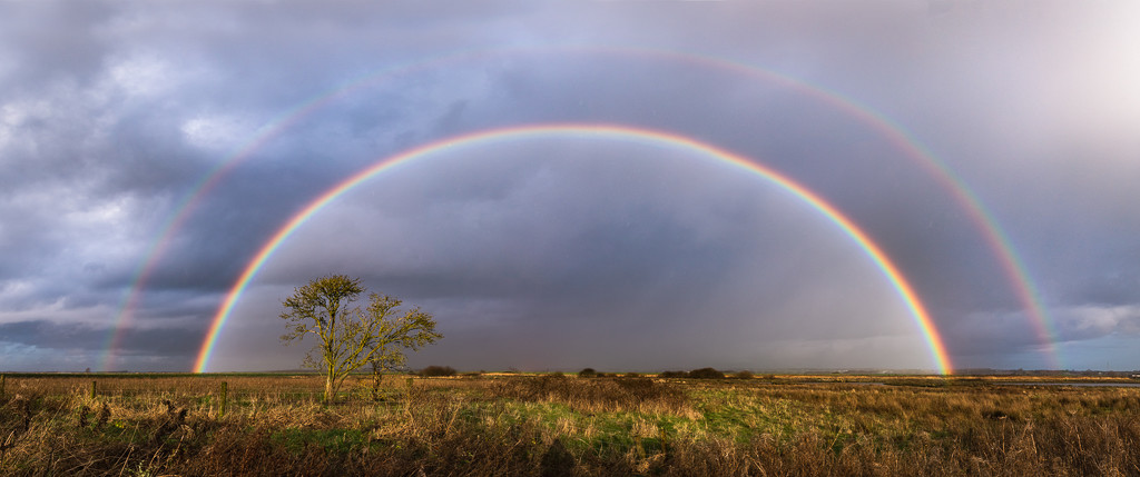 Rainbows by inthecloud5