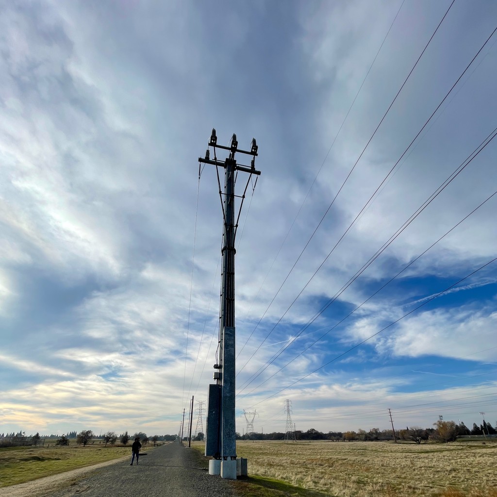 One way pole by shutterbug49