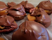 20th Dec 2020 - Turtles ...of the Chocolate, Tasty Kind
