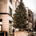 Christmas Tree by sprphotos