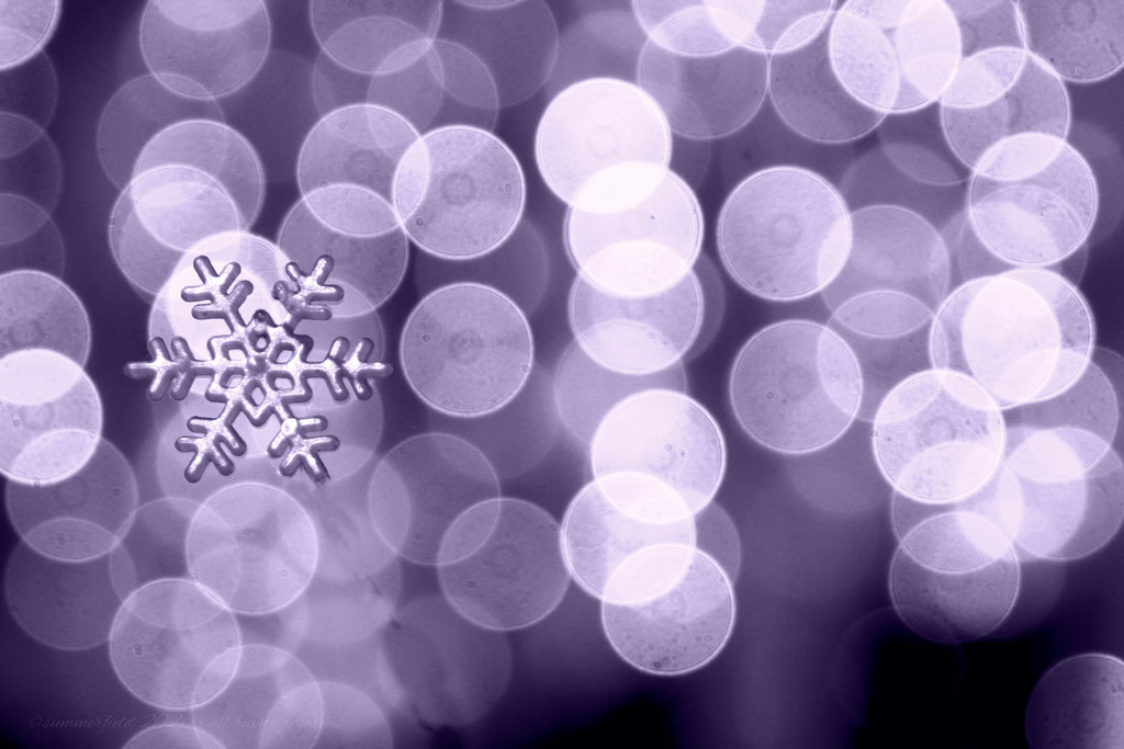 it's the little snowflake that could by summerfield