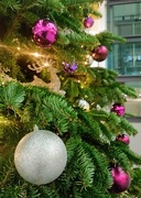 15th Dec 2020 - Work Christmas tree