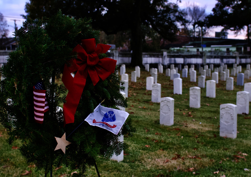 Baton Rouge National Cemetery 2020 by eudora