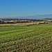 CHESHIRE PLAIN by markp