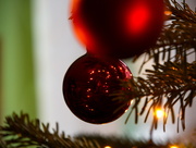 21st Dec 2020 - Christmas Tree Ball