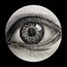 Eye 13 by judithmullineux