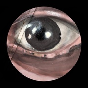 17th Oct 2020 - Eye 5