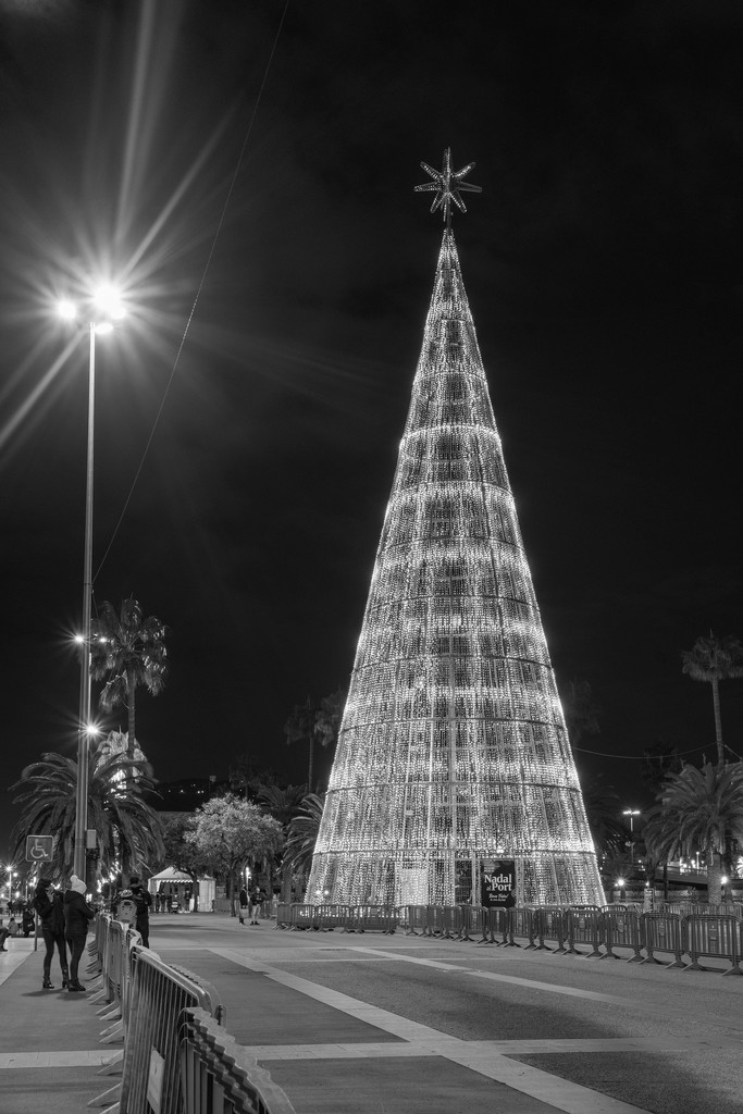 Christmas Tree by jborrases