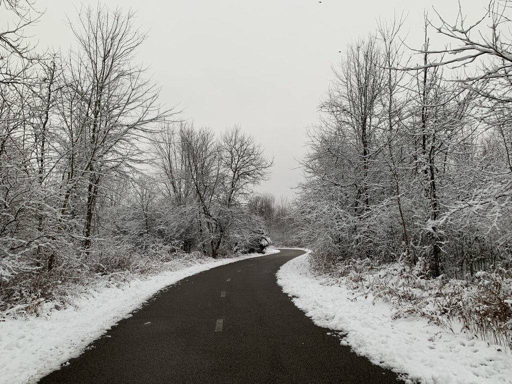 Winter walking by kdrinkie