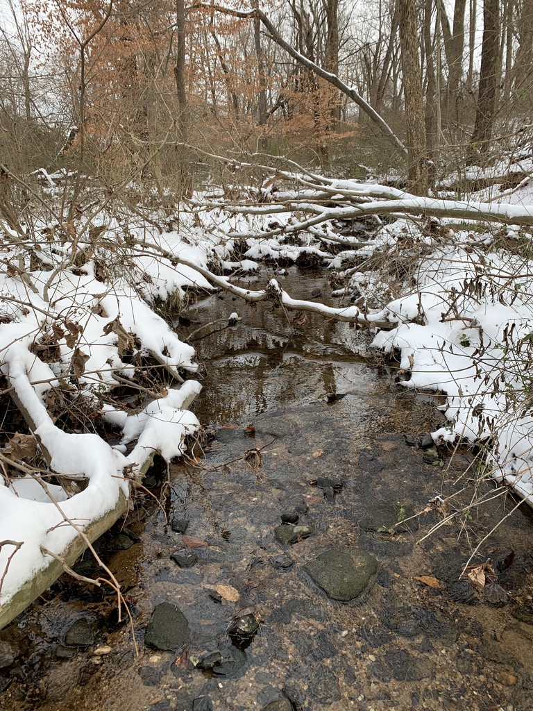 Snow and the stream by kimhearn