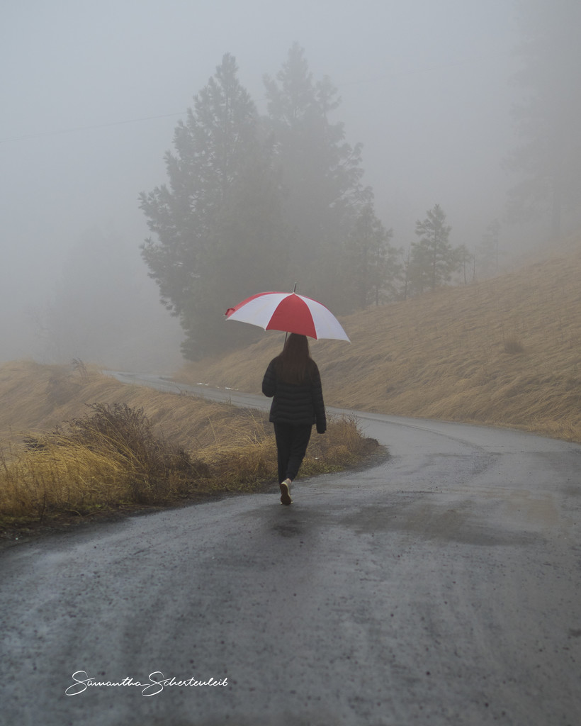 A foggy walk  by sschertenleib