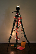 21st Dec 2020 - oh, Christmas tree! 