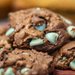 Chocolate Mint Cookies by taffy