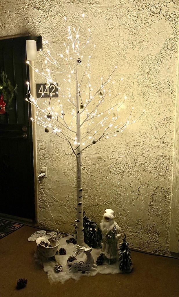Christmas tree at the front door by sandlily