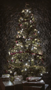 22nd Dec 2020 - Xmas Tree