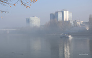 9th Nov 2020 - Weakening fog on the Danube ......
