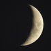 Crescent Moon by susiemc