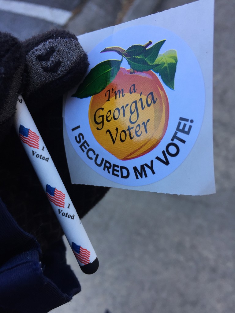 Early voting done! by margonaut