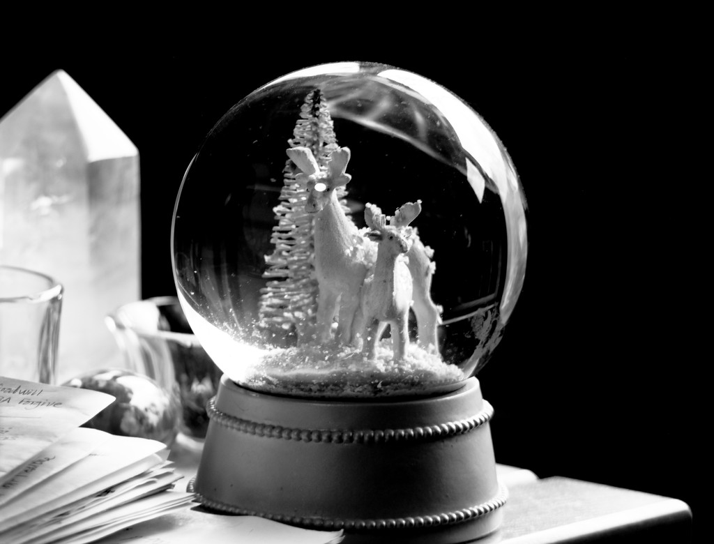 Pam's Christmas Globe by tosee