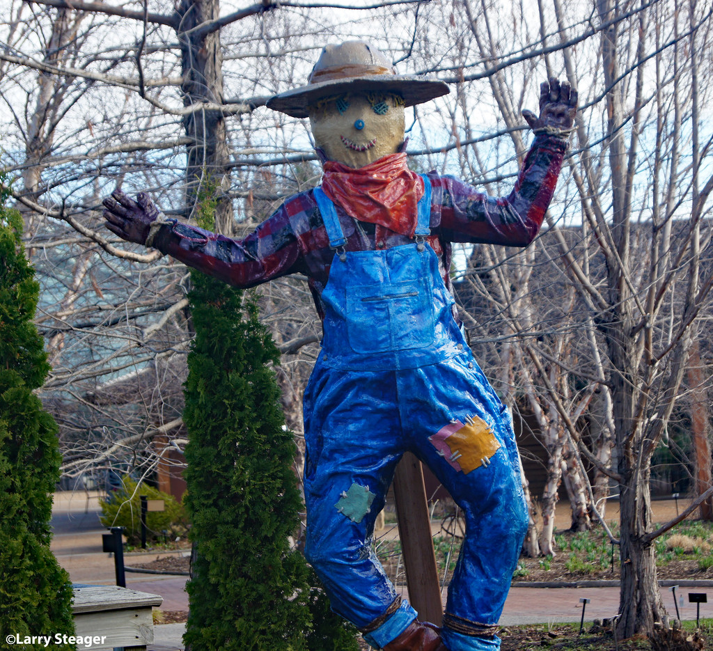 Scarecrow by larrysphotos