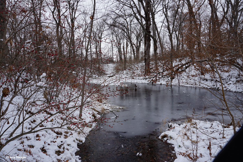 Frozen pond by larrysphotos