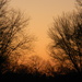 Orange Sunset by sfeldphotos