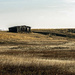 Prairie Dreams by farmreporter