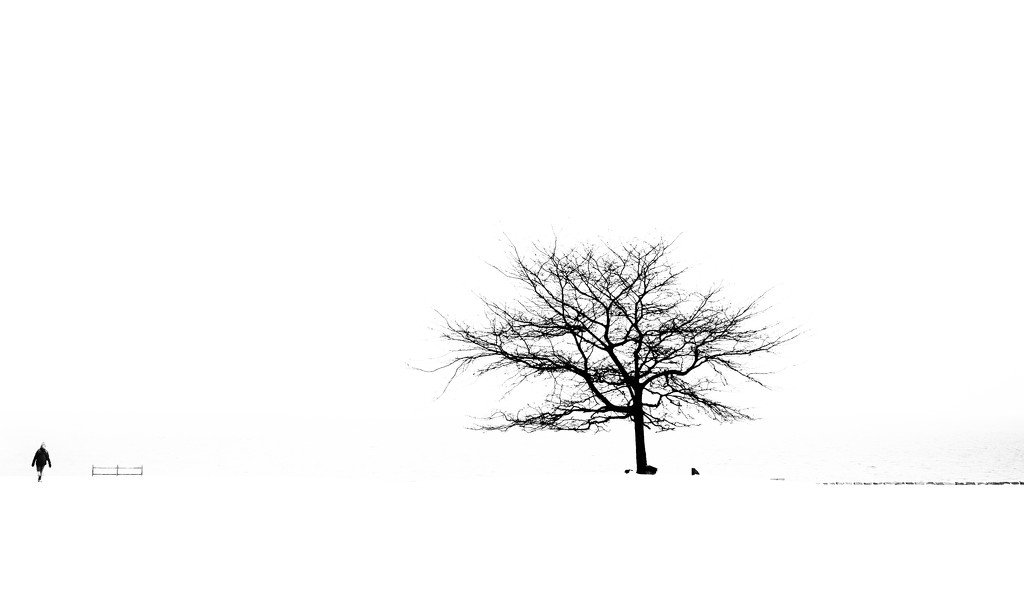 Winter Silhouette by brotherone