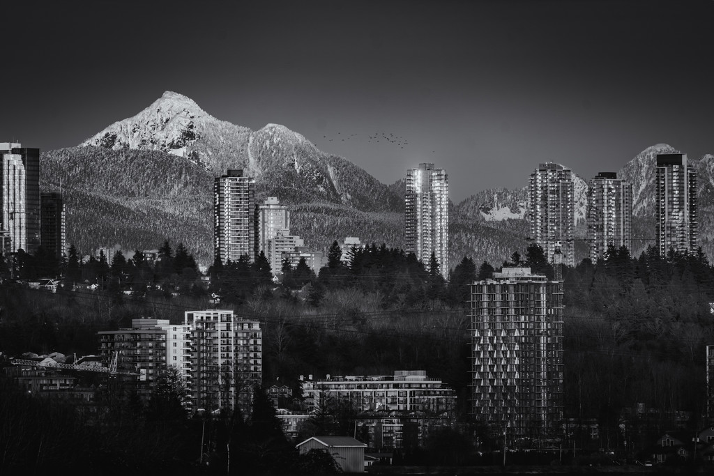 Coquitlam Mountain  by cdcook48
